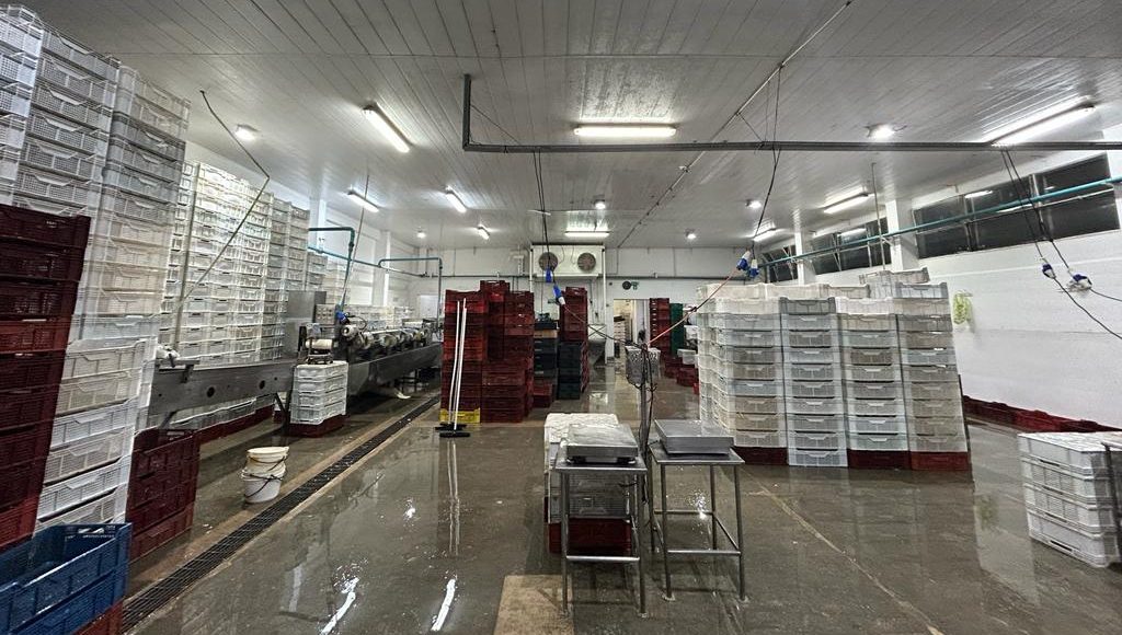 Interior de la planta pesquera de Novabarca.