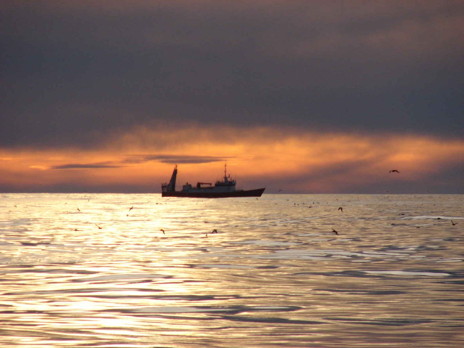 Barco navegando al atardecer