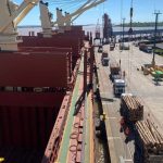 Fray Bentos registró primera operativa del año con carga de 18.000 toneladas de rolos de pinos