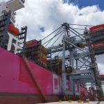 Frente Amplio celebró fallo del TCA sobre operación de contenedores