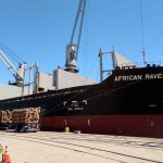 «African Raven» cargó más de 19.000 toneladas de pino en Fray Bentos
