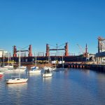 «African Rail» carga 18.000 toneladas de pino en puerto Fray Bentos