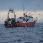 Cámaras pesqueras criticaron celeridad del Gobierno para autorizar prospección sísmica