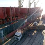 El «African Gannet» carga 17.000 toneladas de rolos de pino en Fray Bentos con destino a India