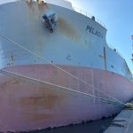 Buque «Pelagia» inauguró zafra de soja en terminal de ANP en Nueva Palmira
