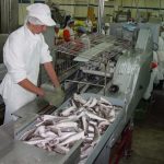 Uruguay concreta primer embarque pesquero a la Unión Europea con arancel cero