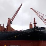 El «African Nightjar» carga 17.000 toneladas de rolos de pino en el puerto de Fray Bentos