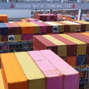 Puerto de Montevideo: Gobierno establece servicios mínimos en TCP