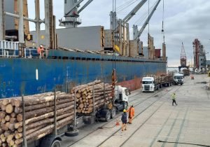 Uruguay exporta 17.000 toneladas de rolos de pino desde Fray Bentos a India