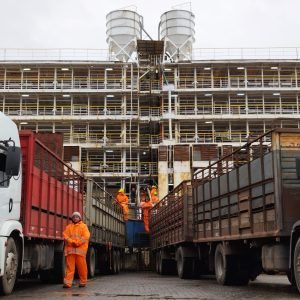 MGAP impulsa la exportación de ganado en pie por Nueva Palmira