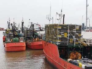 Juan Riva-Zucchelli (CIPU): La pesca costera creció, pero cayó la captura de altura