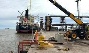 Nueva Palmira: comienzan obras en muelles de Ultramar con 38 defensas nuevas