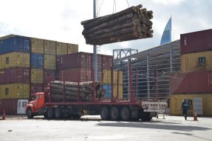 Sector forestal representó 44% de cargas generales y a granel del puerto de Montevideo en 2025
